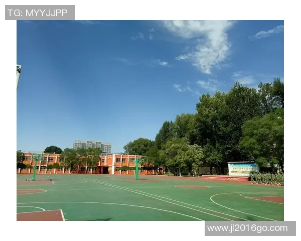 重庆足球队的奋斗历程与成长蜕变全景纪实