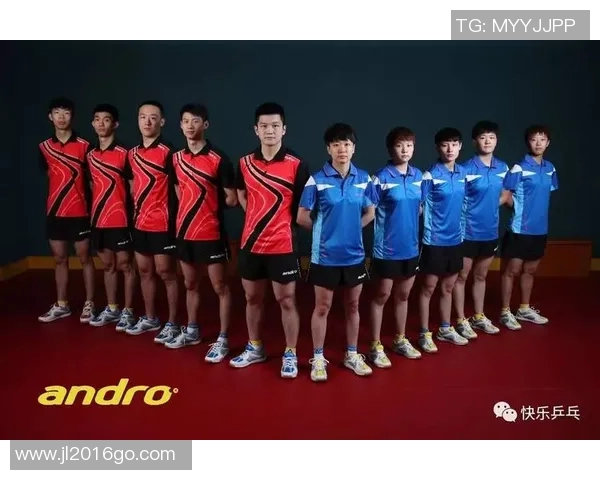 南京乒乓球队与杭州乒乓球队赛后战术分析与复盘探讨