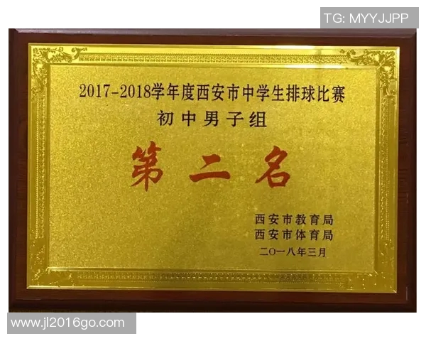 西安排球队的转换策略分析与比赛表现评估